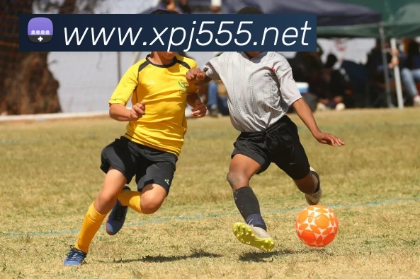 体育直播服务
